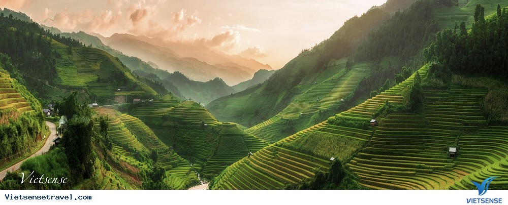 Sapa Sapa
