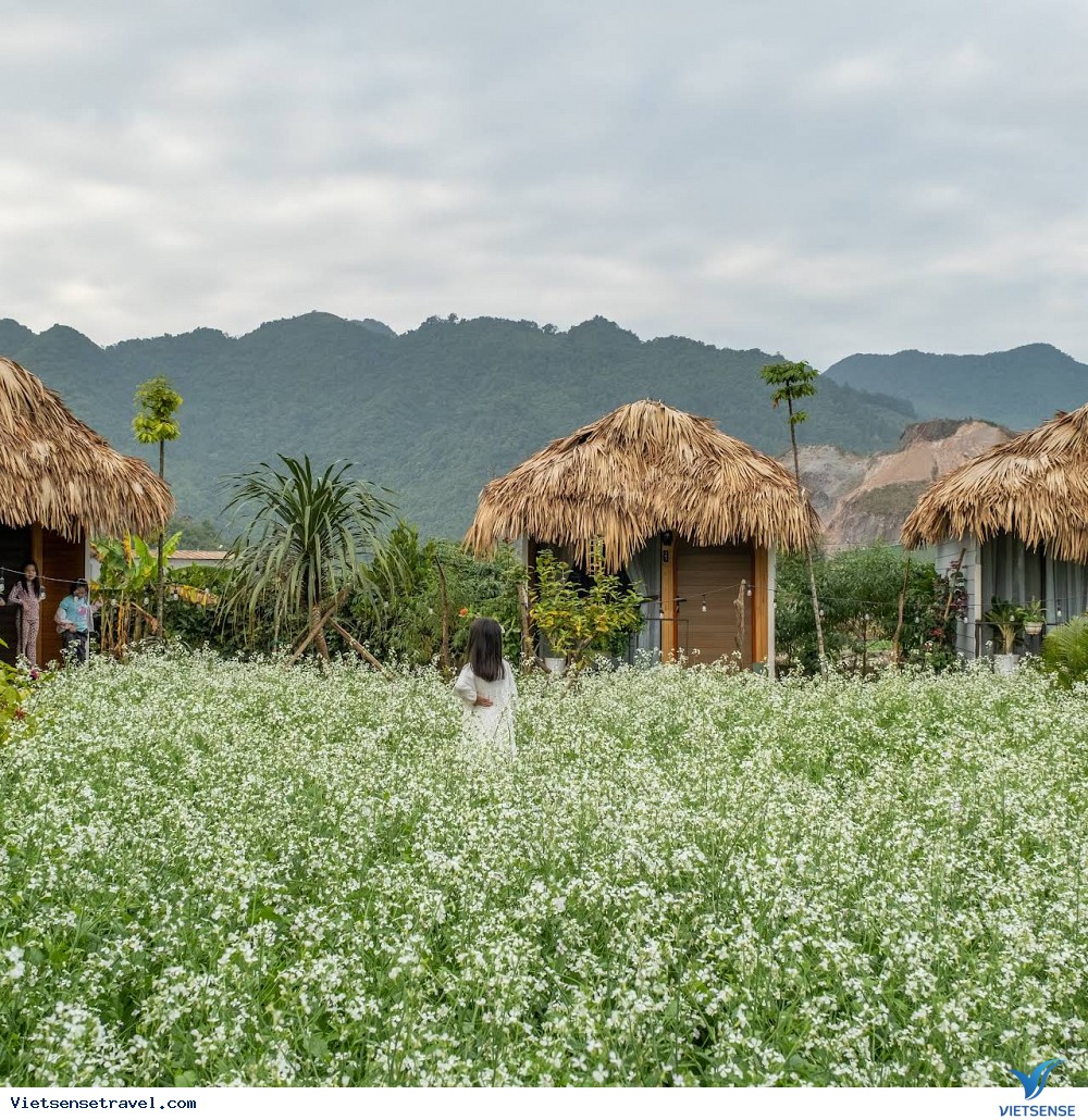 Bó Bun Homestay có không gian mộc mạc, yên bình