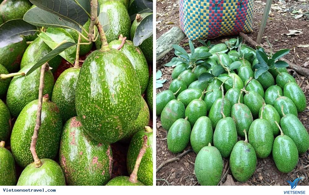 Du lịch Tây Nguyên