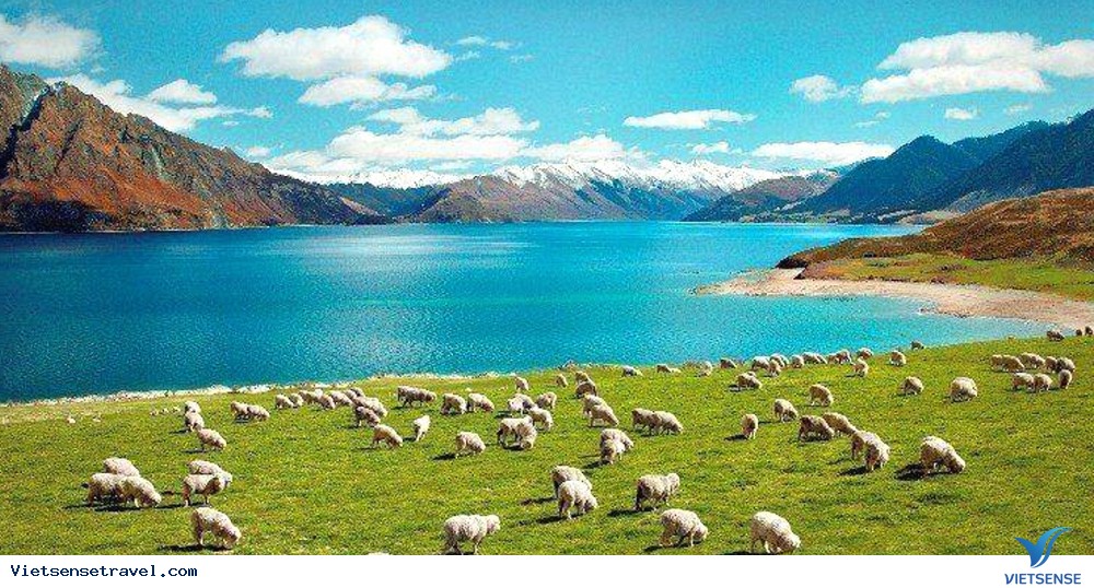 Du Lịch Newzealand