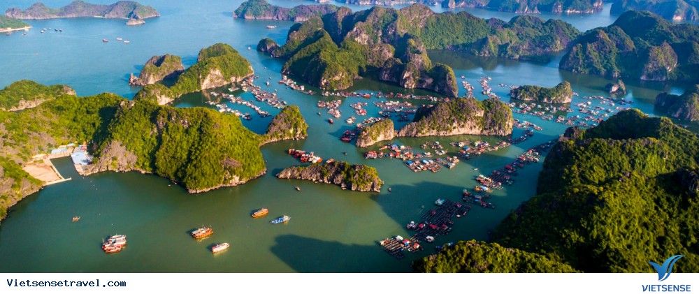du lịch cát làng chài cái bè