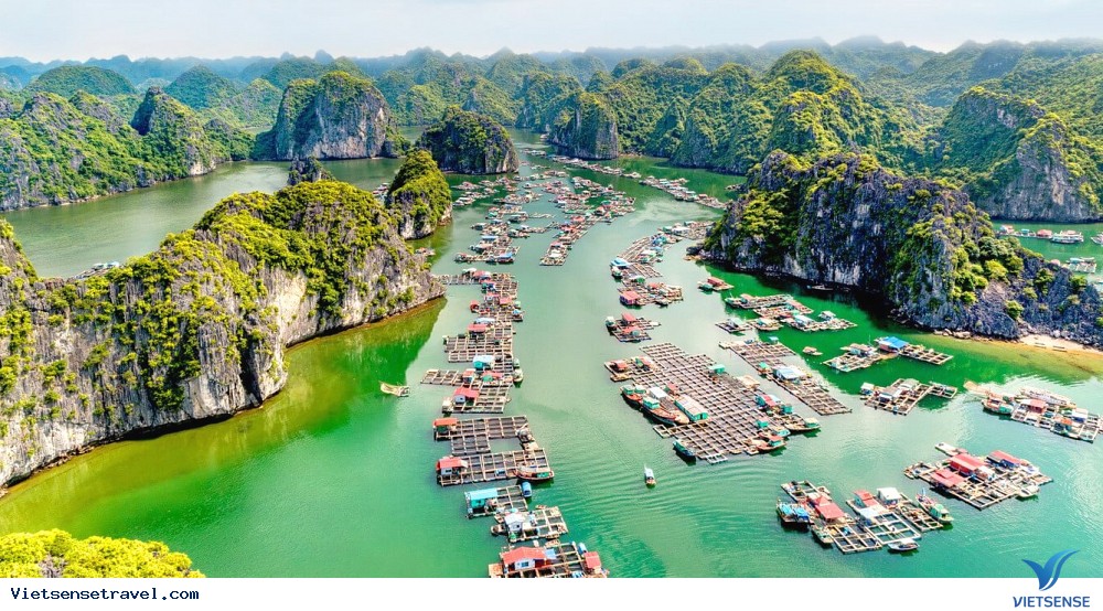 du lịch cát bà - vịnh lan hạ