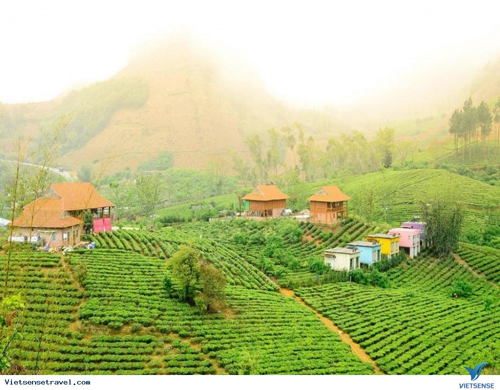 Du lịch Tây Bắc ở đâu? Mộc Châu Arena Village Sơn La